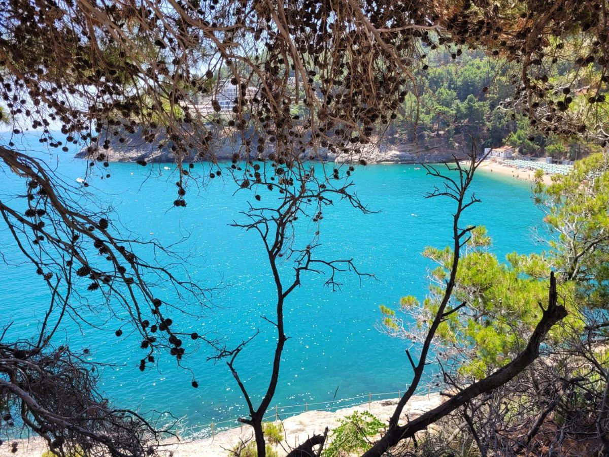 Villetta Roberto Le Macine Di Charme - Pugnochiuso Resort Vieste Exteriér fotografie